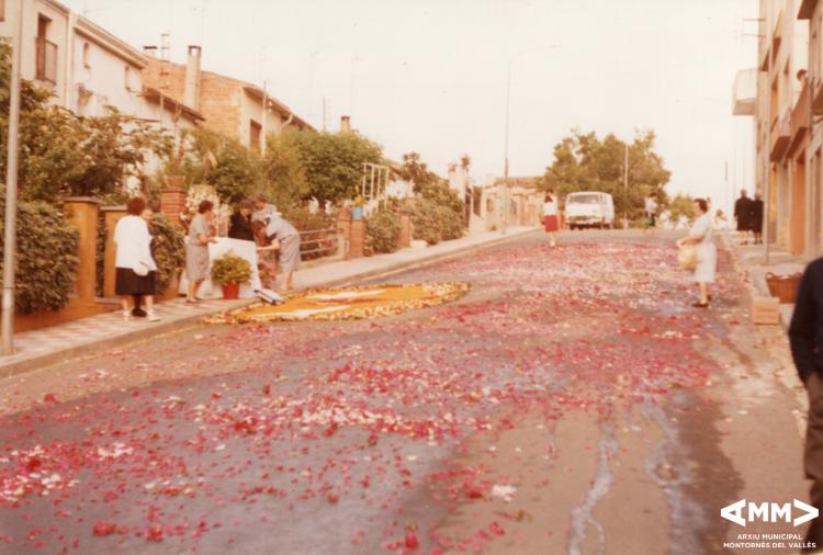 Desmuntant les catifes de flors a les festes del Corpus Christi