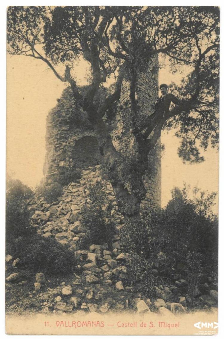 Castell de Sant Miquel