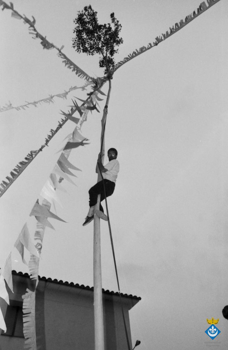 Festa de l'Arbre de Maig dins la Festa Verdaguer