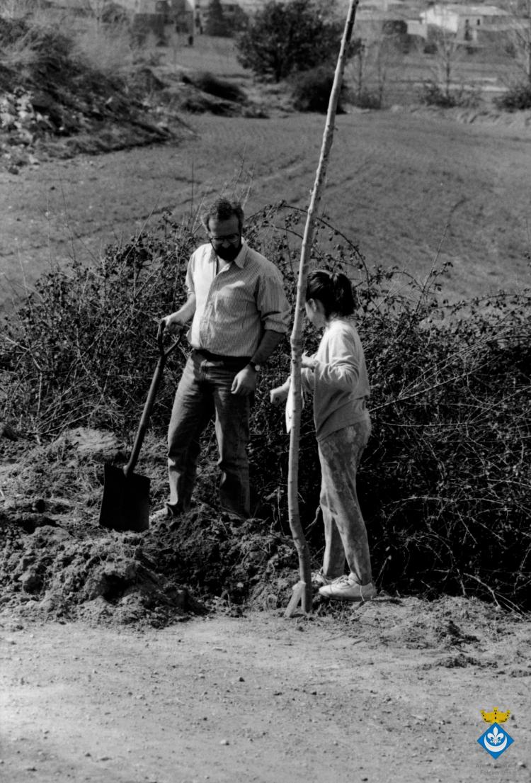 Indrets ruta Verdagueriana. Plantada d'arbres a l'entorn de l'ermita de la Damunt