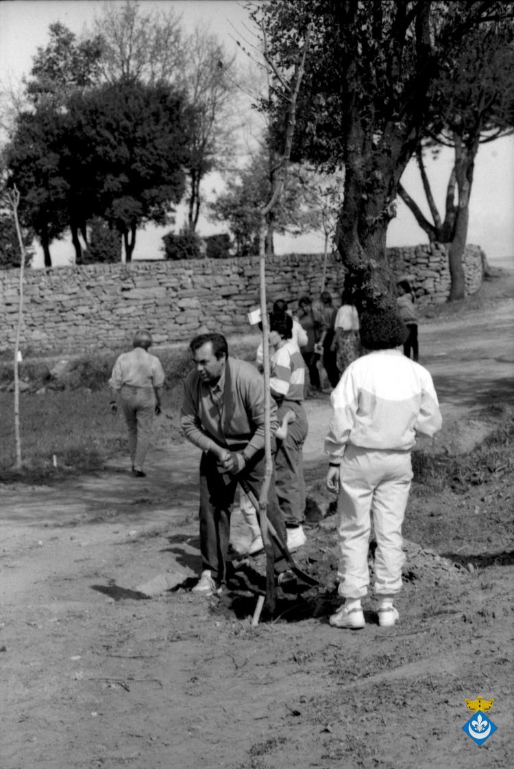 Indrets ruta Verdagueriana. Plantada d'arbres a l'entorn de l'ermita de la Damunt
