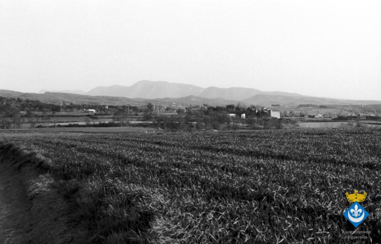 Camps, convent de Sant Tomàs amb el Montseny al fons