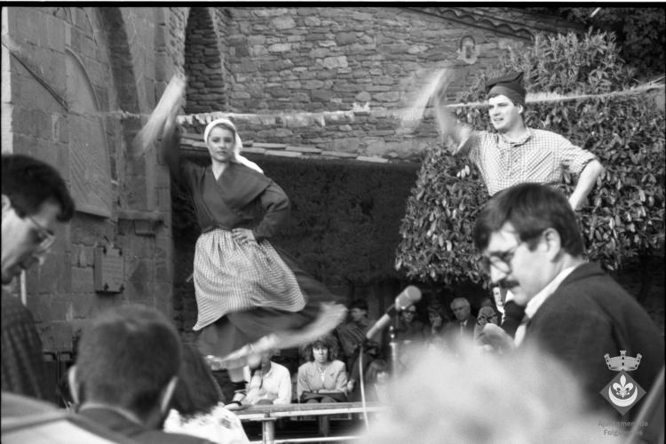 Ballets de la Festa Verdaguer