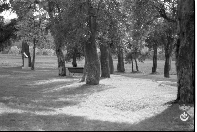Bosc de les Alzines Sureres amb el monument de l'Àlbula, obra del pintor i escultor Pablo Palazuelo, inaugurada l'any 1996