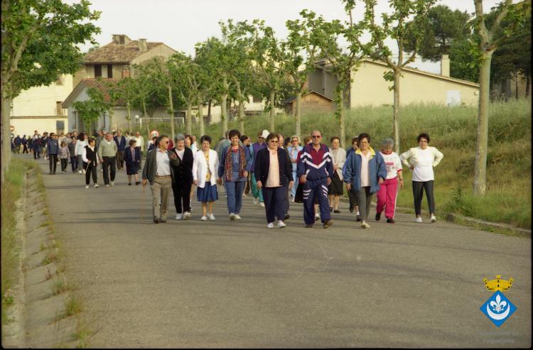 Caminada dels avis