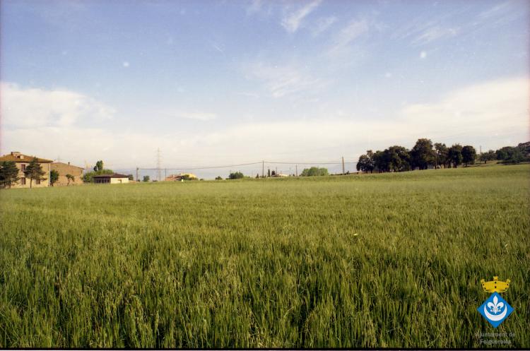 Caminada dels avis