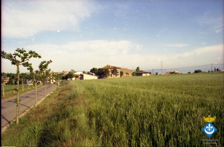 Caminada dels avis