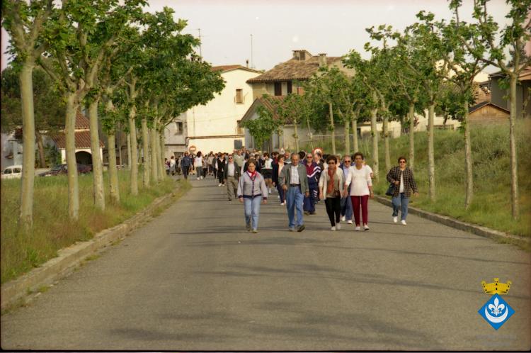 Caminada dels avis