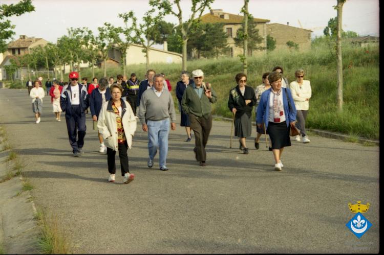 Caminada dels avis