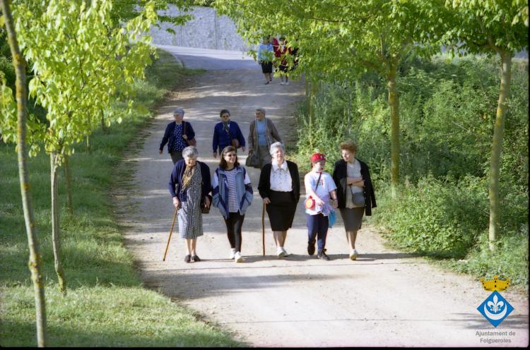 Caminada dels avis