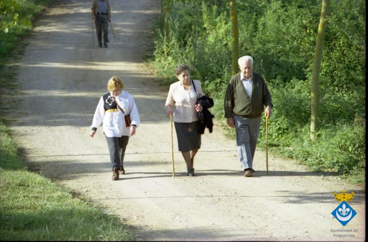 Caminada dels avis