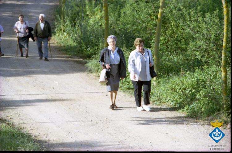 Caminada dels avis