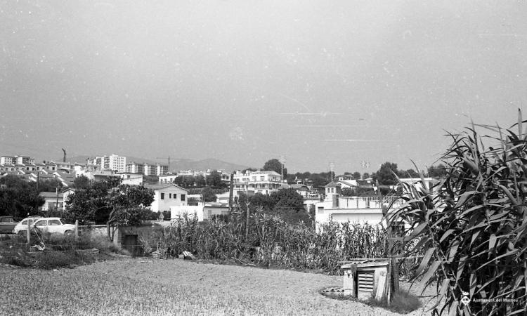 Vista del Masnou