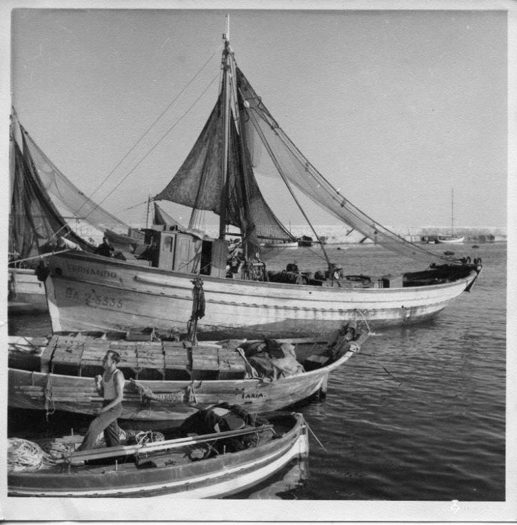 Barques de pesca al port de Blanes (la Selva)