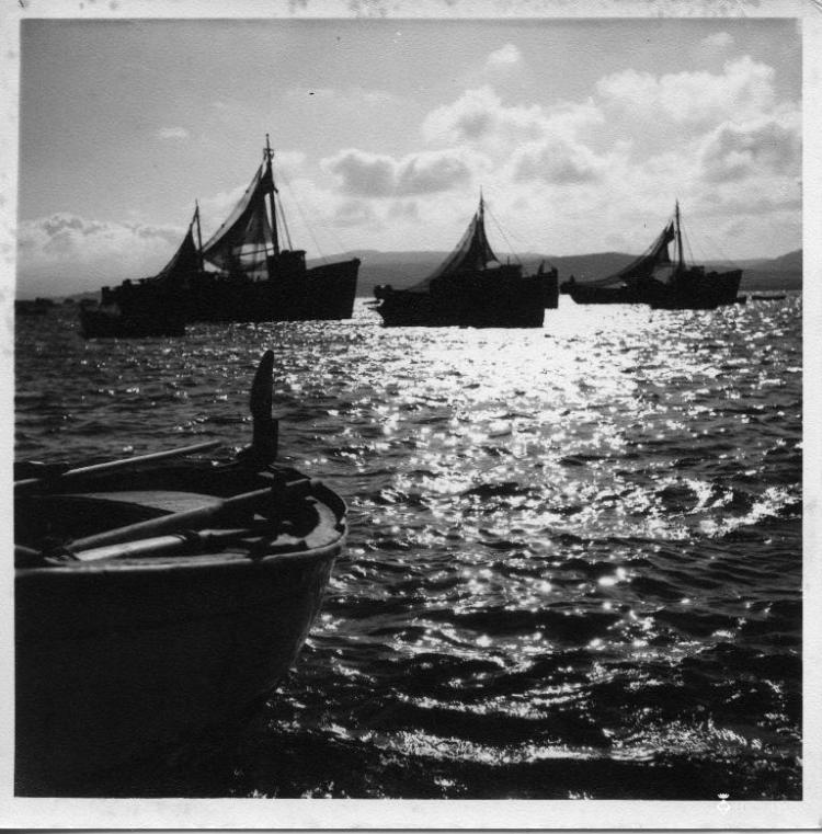Barques de pesca a la zona de Roses(Alt Empordà)