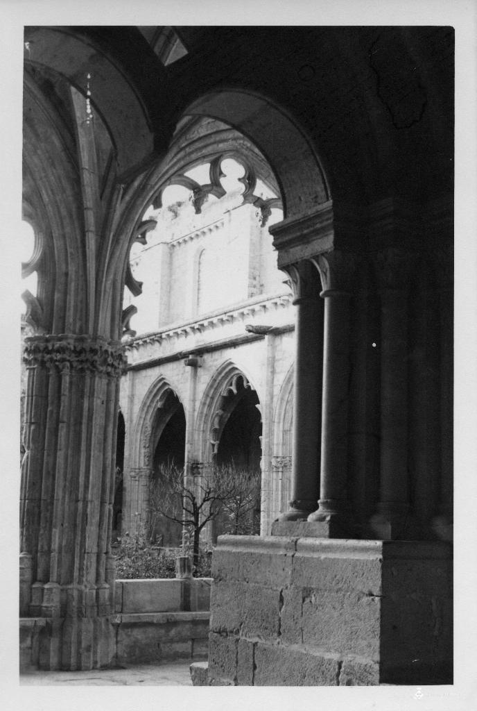 Detall d'un racó del claustre del monestir de Santes Creus (Alt Camp)