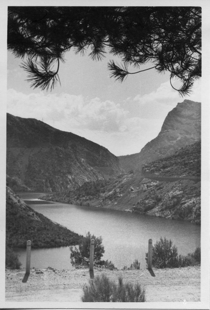 El Segre a la zona del pantà d'Oliana (Alt Urgell) creuat per un pont