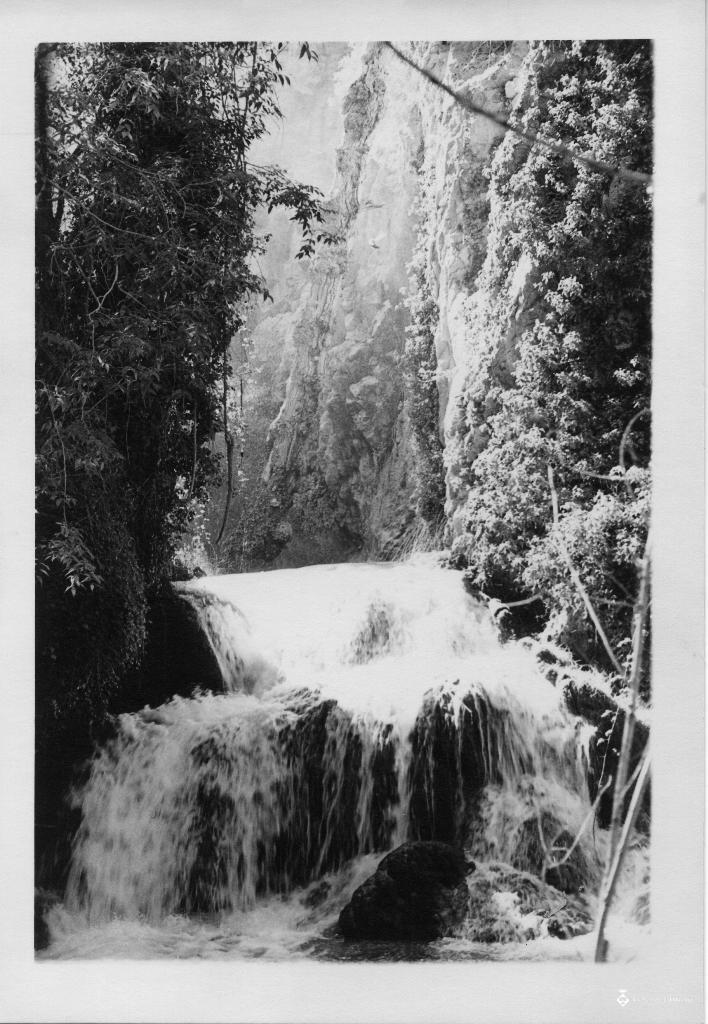 Salt d'aigua entre la vegetació al Monasterio de Piedra