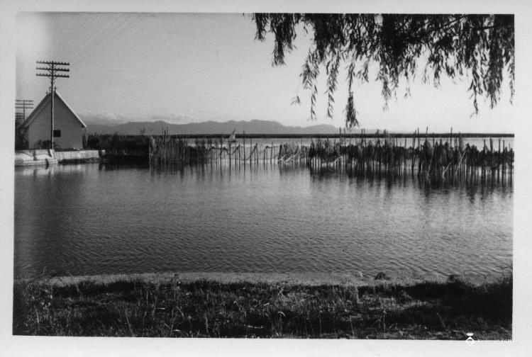 Vista de l'Albufera de València entre les canyes