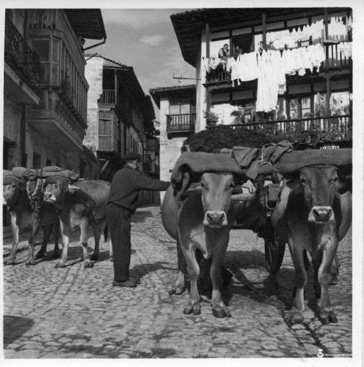 Dos carros de bous als carrers de Santillana del Mar (Cantàbria)