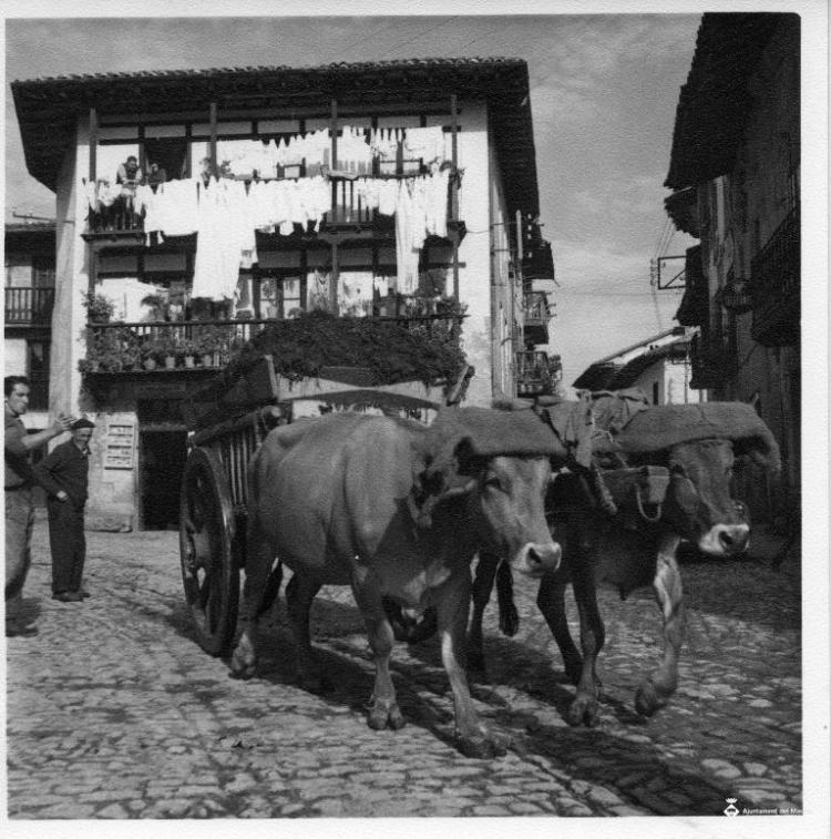 Carro estirat per dos bous a Santillana del Mar (Cantàbria)