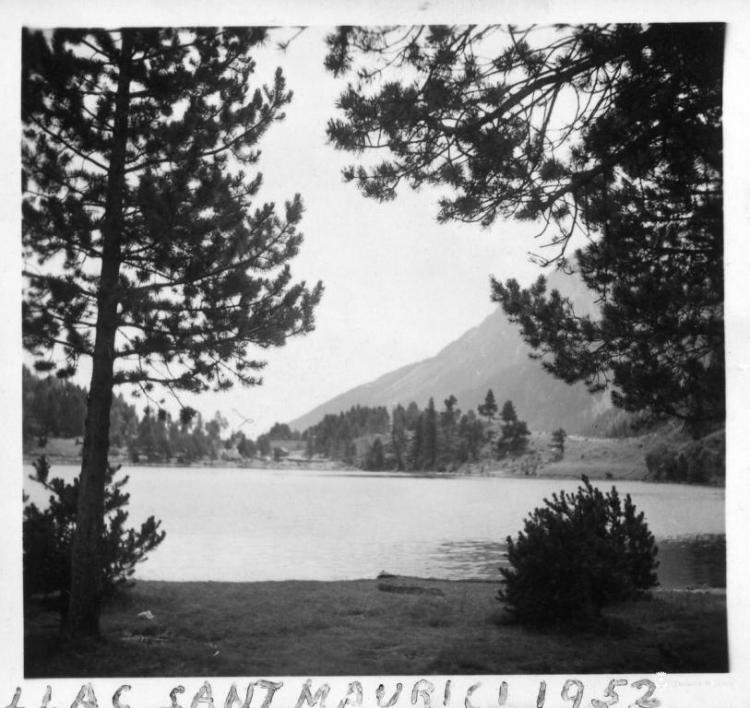Estany de Sant Maurici vist entre la vegetació