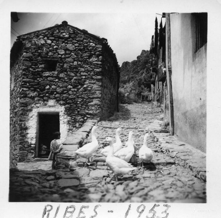 Oques en un carrer de Ribes de Freser (Ripollès)
