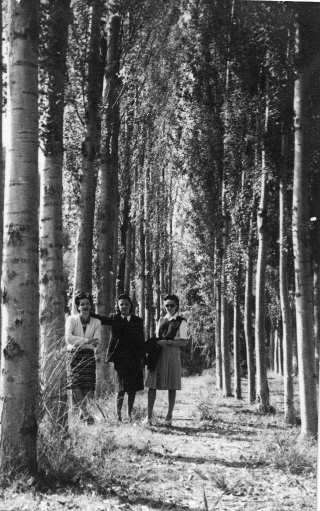 Retrat de tres dones dretes en un bosc