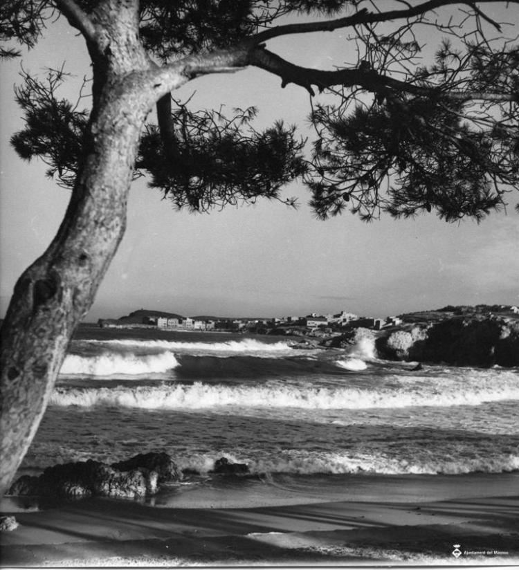 Racó de la Costa Brava