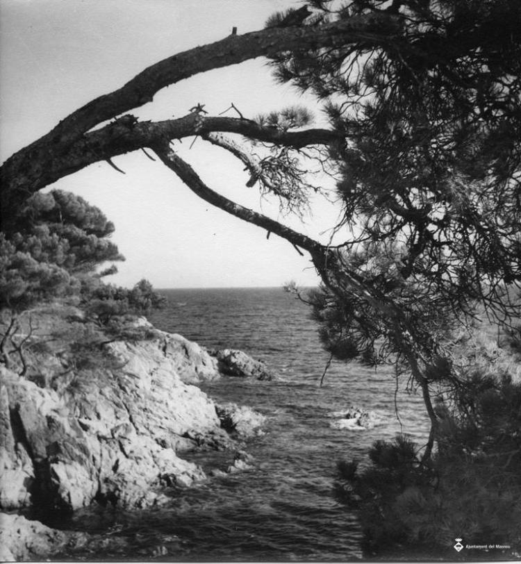 Racó de la costa de S'Agaró (Platja d'Aro, Baix Empordà)
