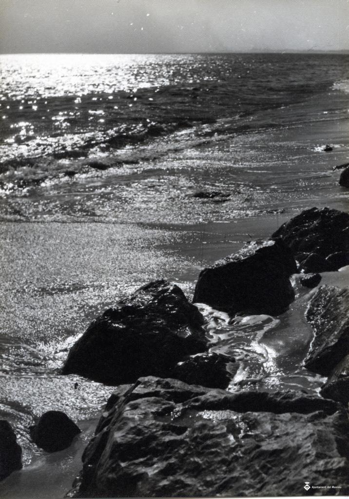 Detall d'unes roques a la vora del mar