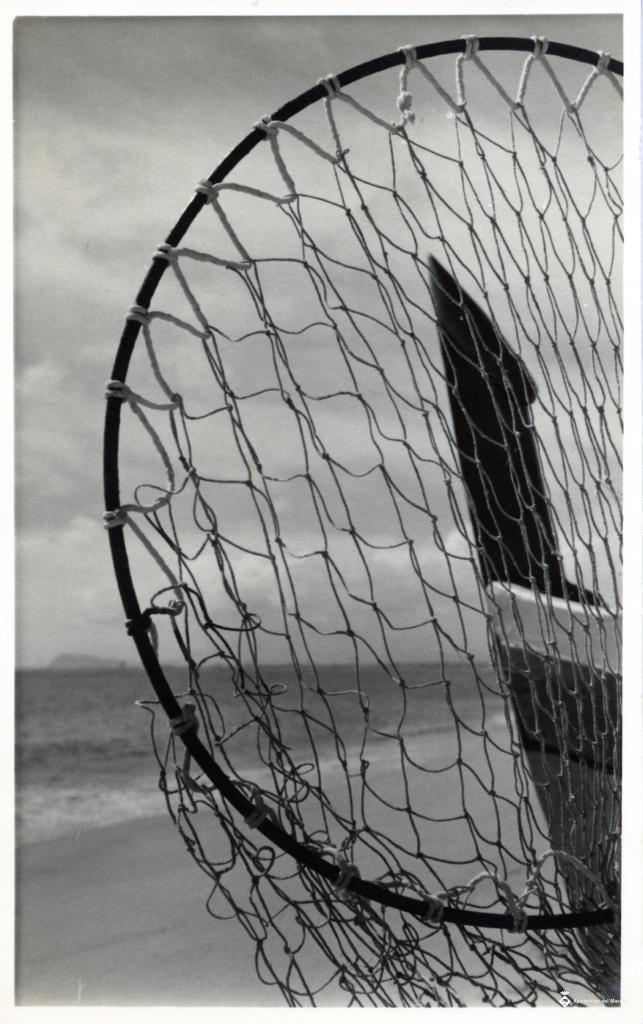 Detall d'un salabret