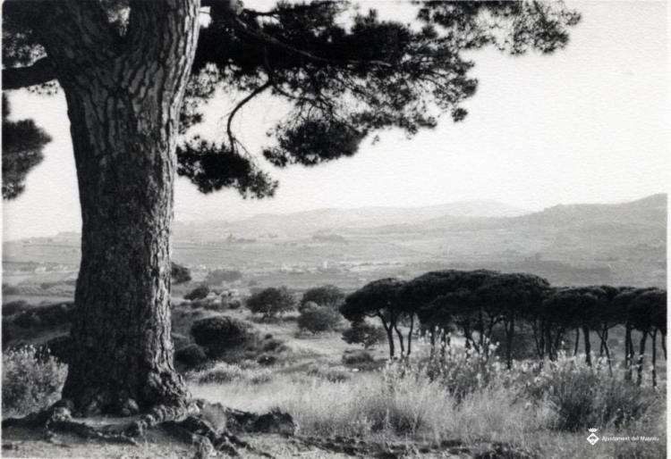 Pi de l'Indià