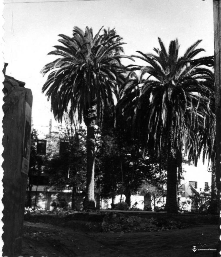 Jardins amb un grup de palmeres al centre