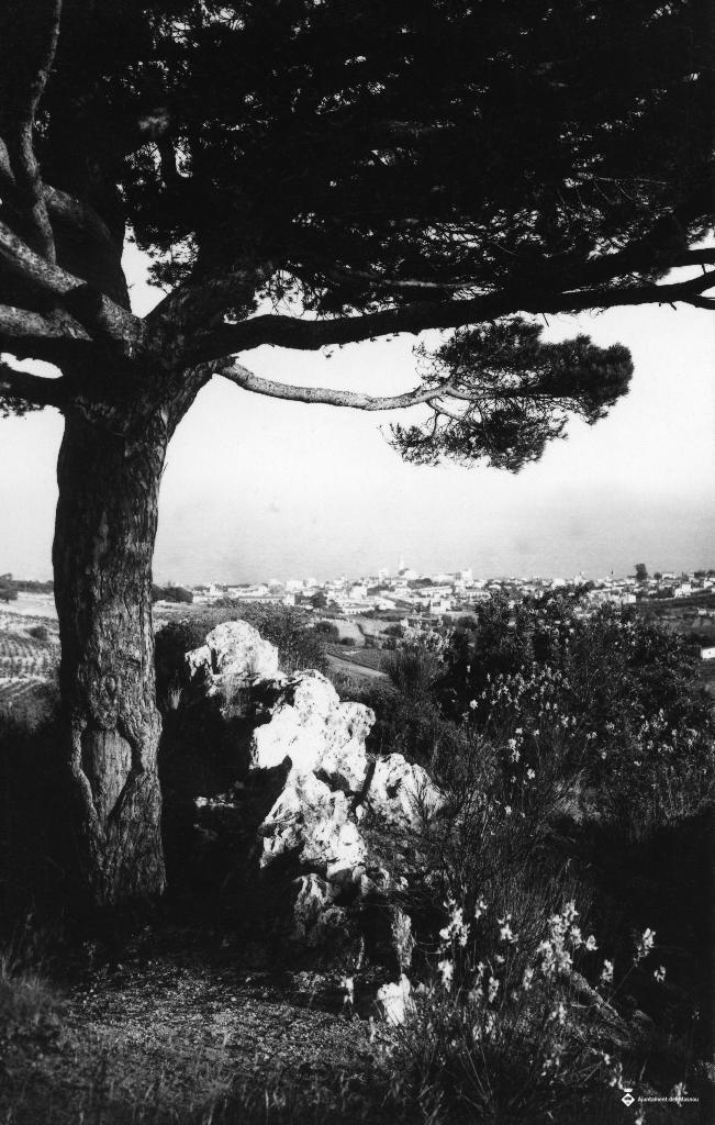Perspectiva del Masnou des del Pi de l'Indià