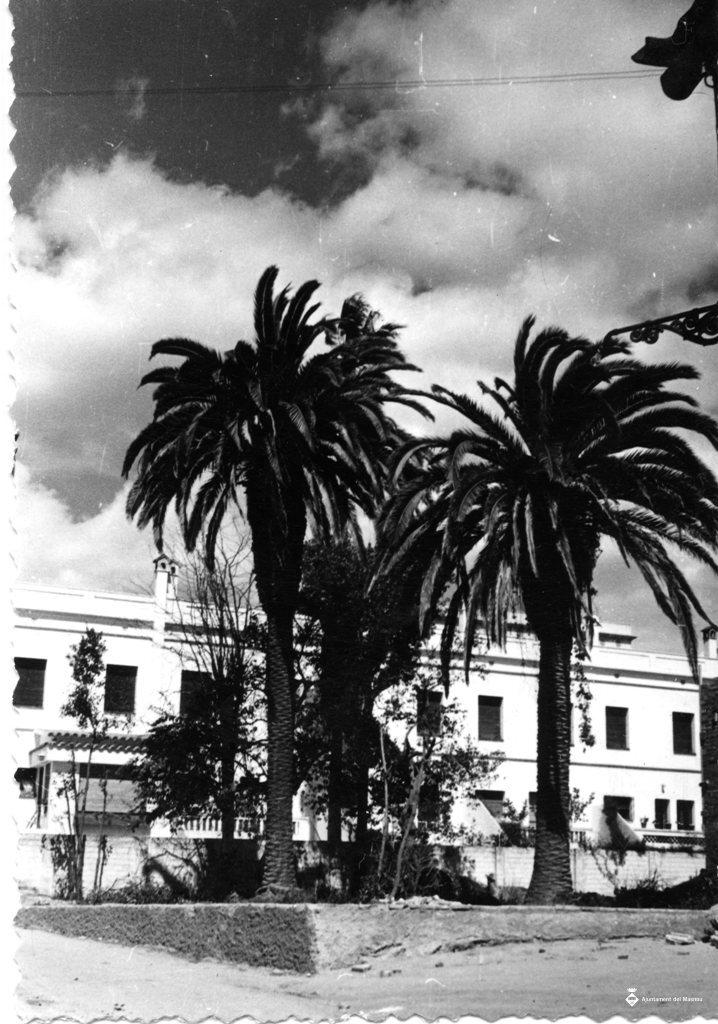 Jardins amb un grup de palmeres al centre