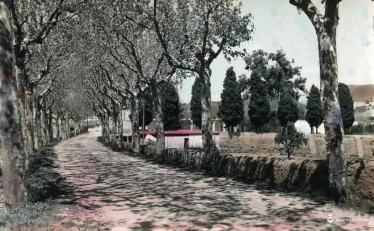 Vista de l'antic camí d'Alella