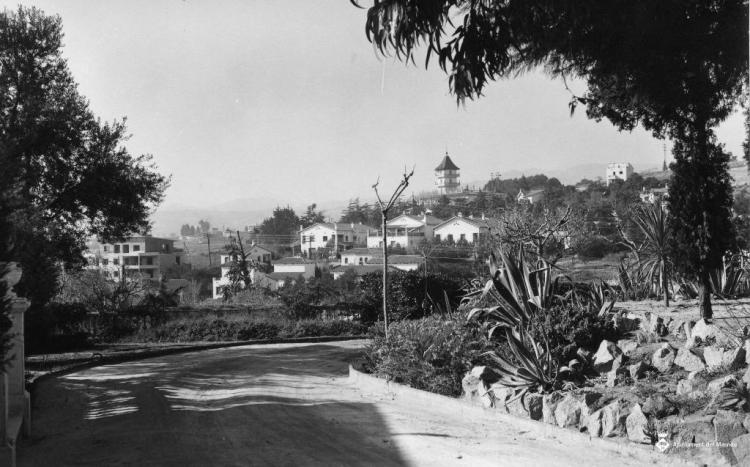Vista de la urbanització Califòrnia amb la Torre Xina al fons