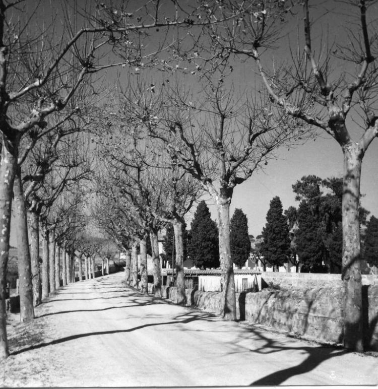 Camí del Cementiri