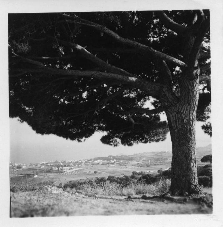 Vista del Masnou des del Pi de l'Indià