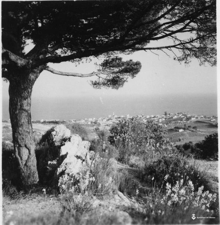 Vista del Masnou des del Pi de l'Indià