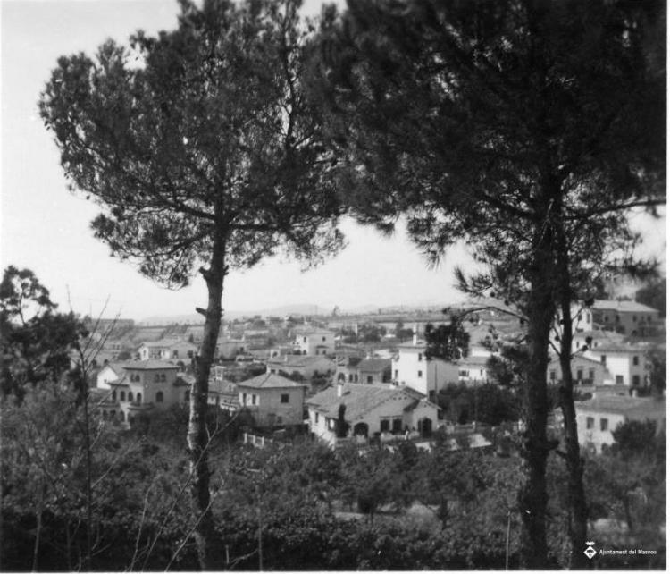 Arbres en primer pla i vista de cases de poble