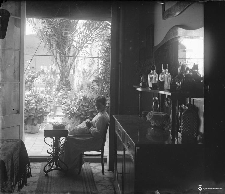 Interior d'una casa amb un jardí al fons