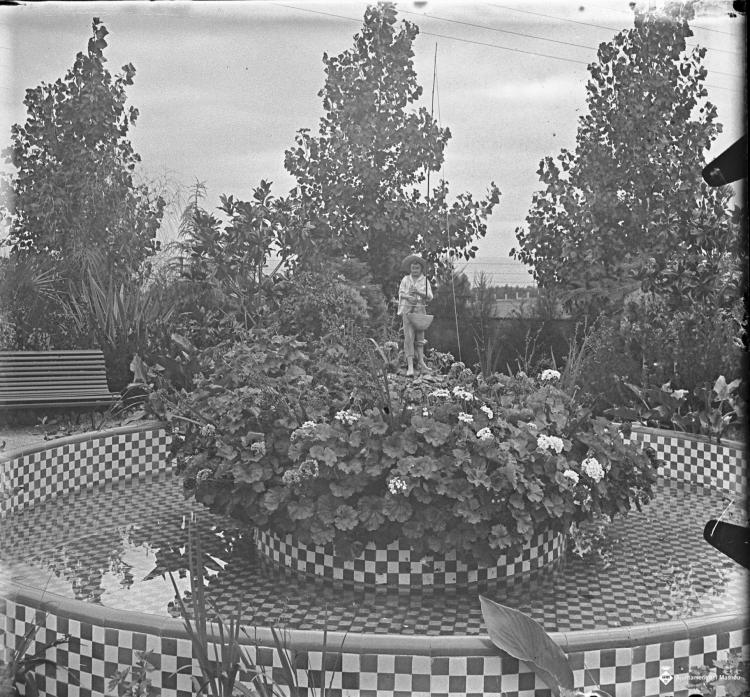 Vista del jardí de la Villa Montevideo
