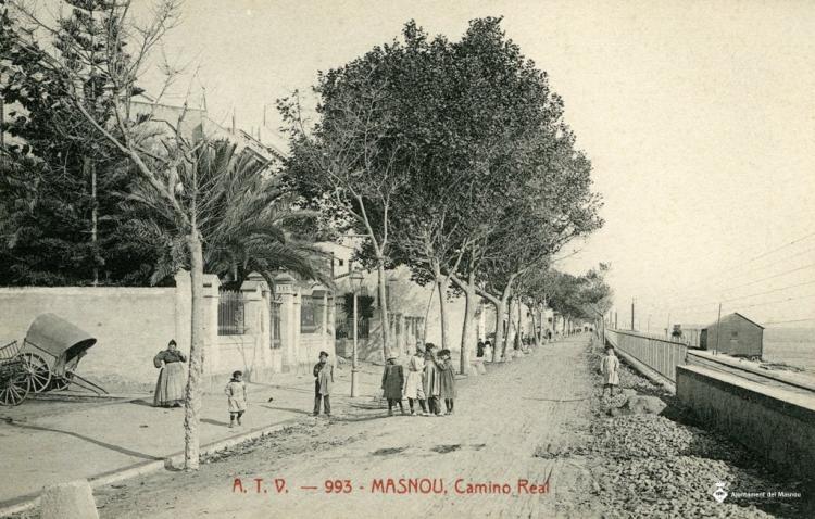 993 MASNOU, Camino Real