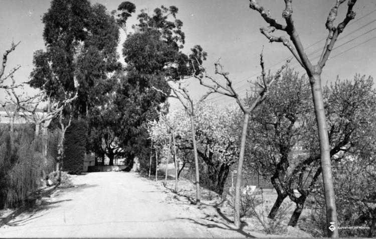Alberg del Masnou