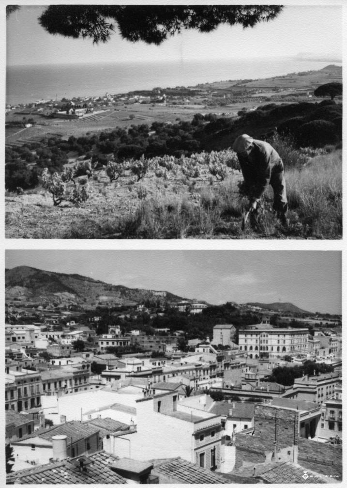 Pagès amb vinyes i vista panoràmica