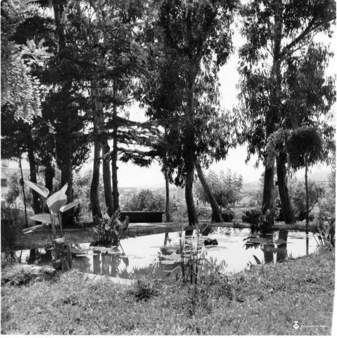 Alberg del Masnou