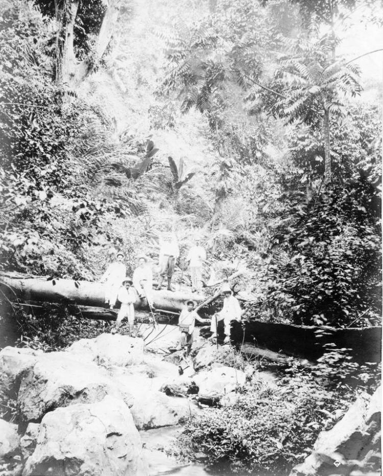 Salvador Millet Villà amb altres homes a la selva