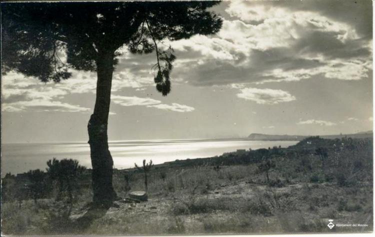 Paisatge del Masnou des del pi de l'Indià?